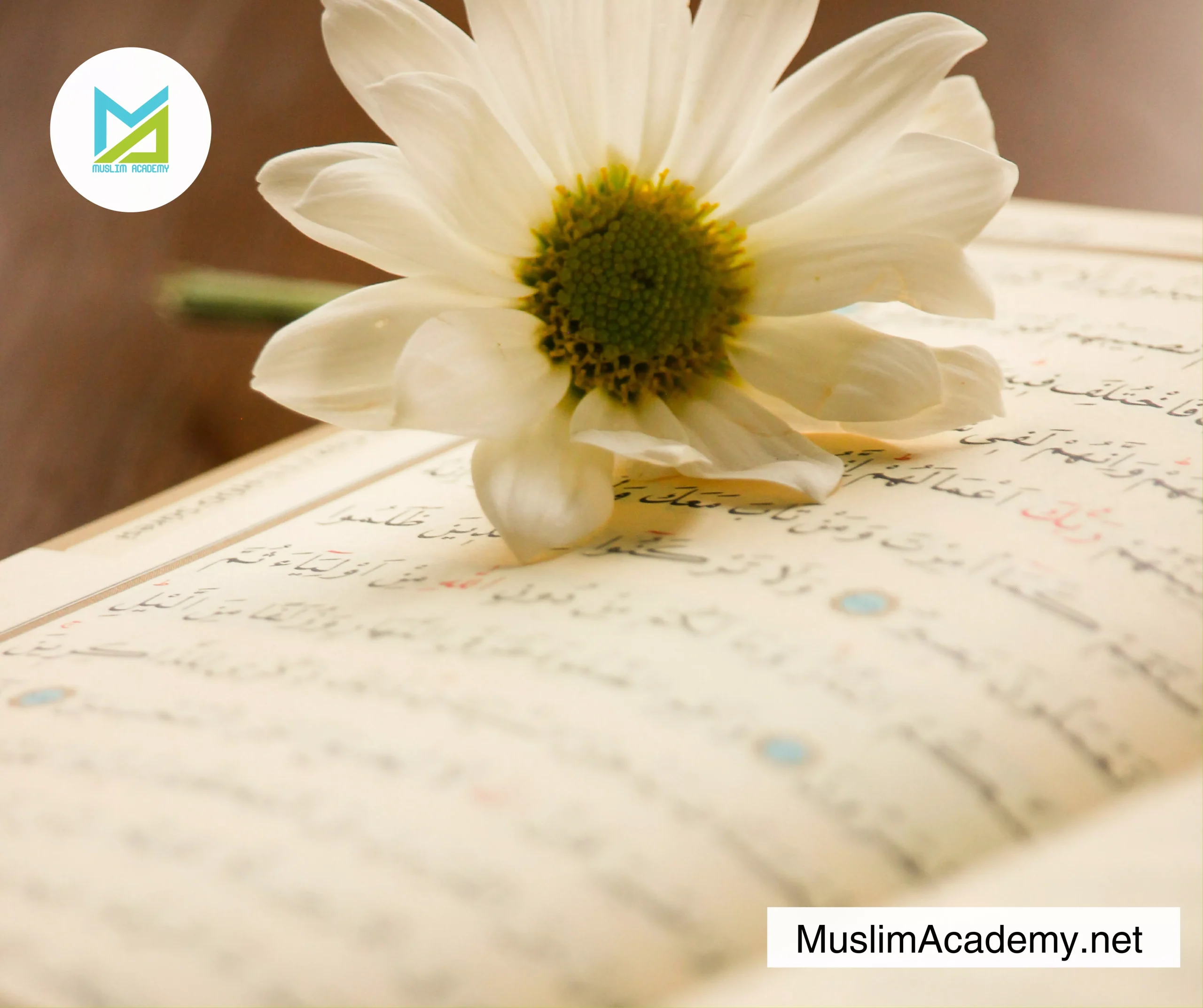 Importance Of Surah Yaseen 3, Muslim Academy