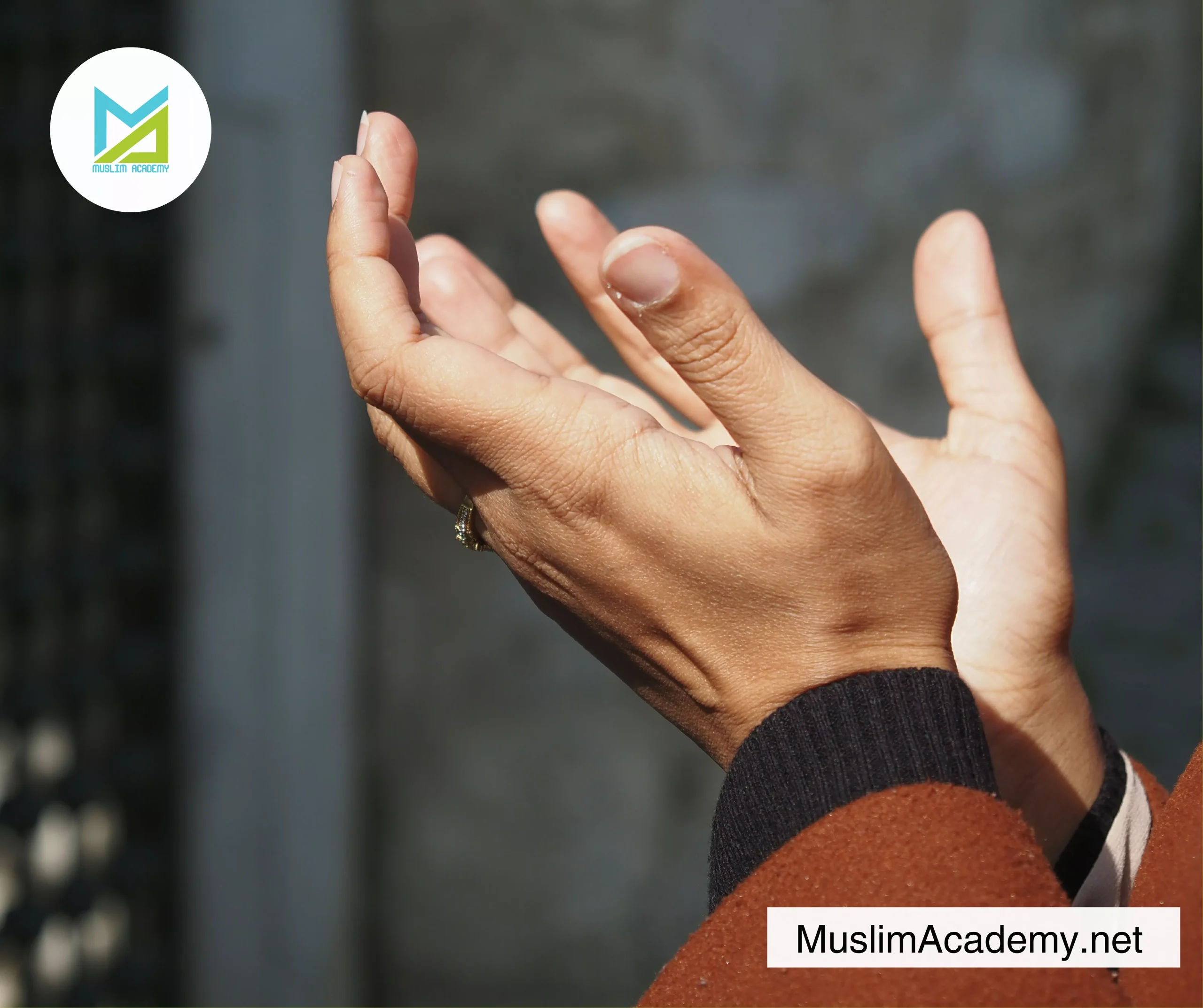 Interpretation Of Islam 3, Muslim Academy