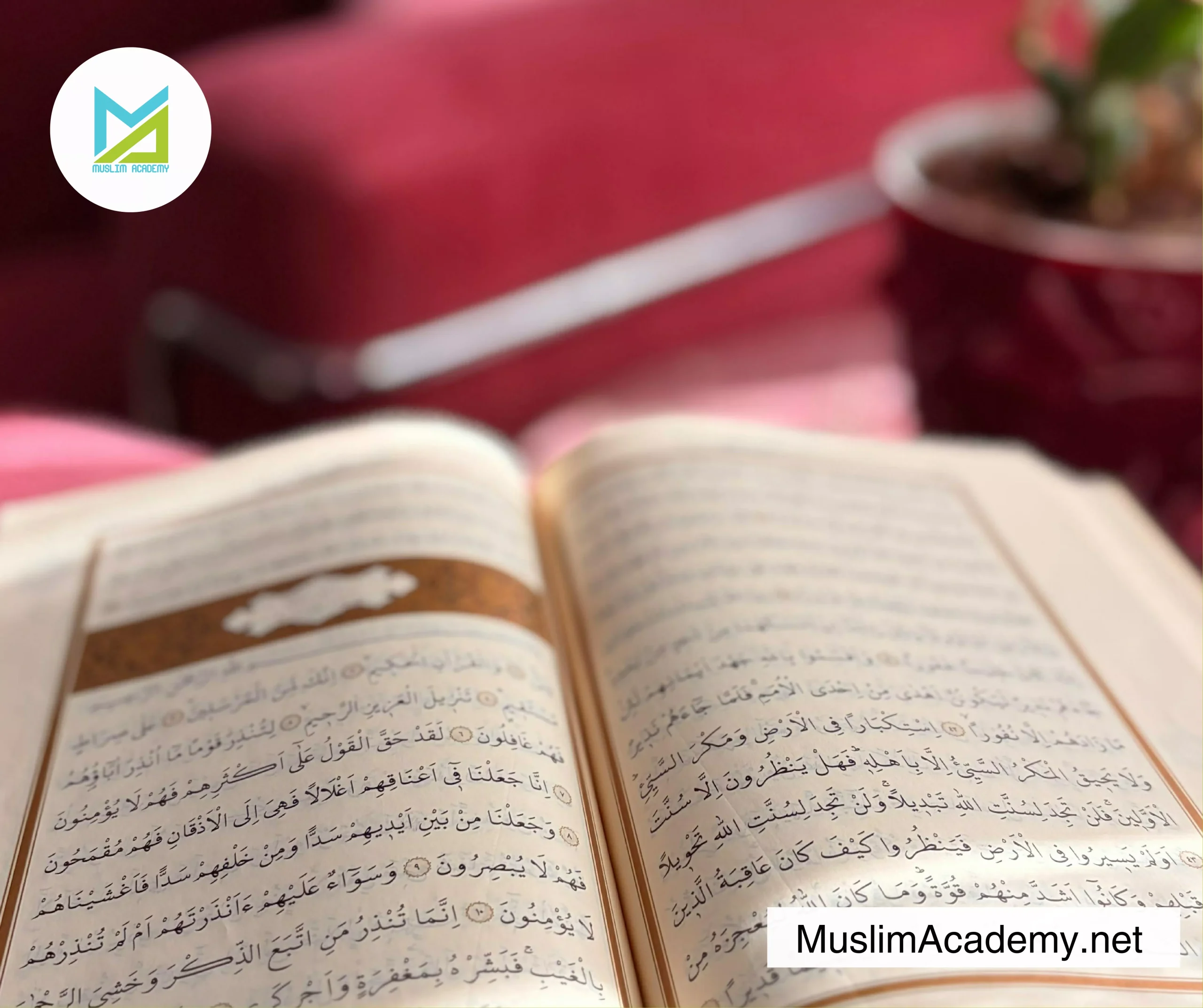 Online Surah Yasin 3, Muslim Academy