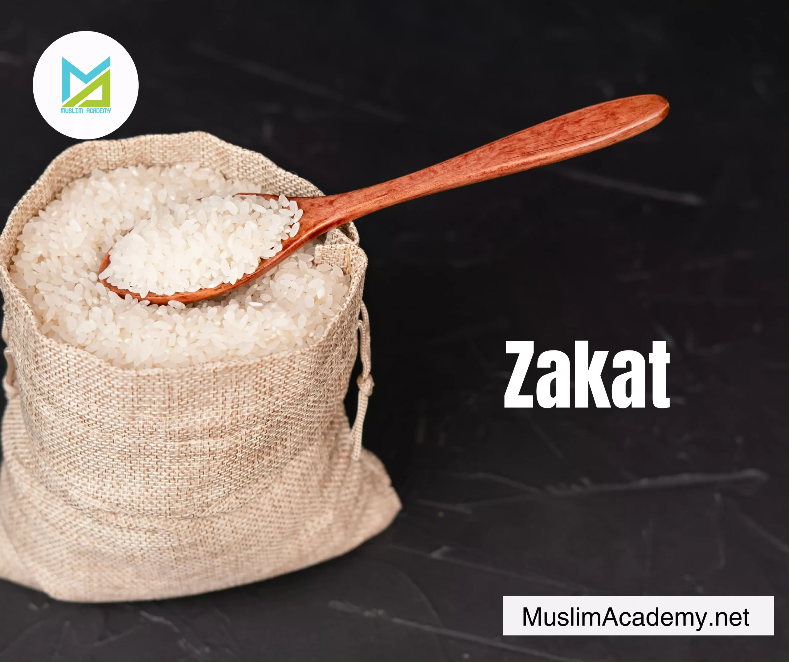 Origin Of Muslims 3, Muslim Academy