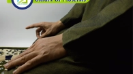Origin Of Muslims, Muslim Academy