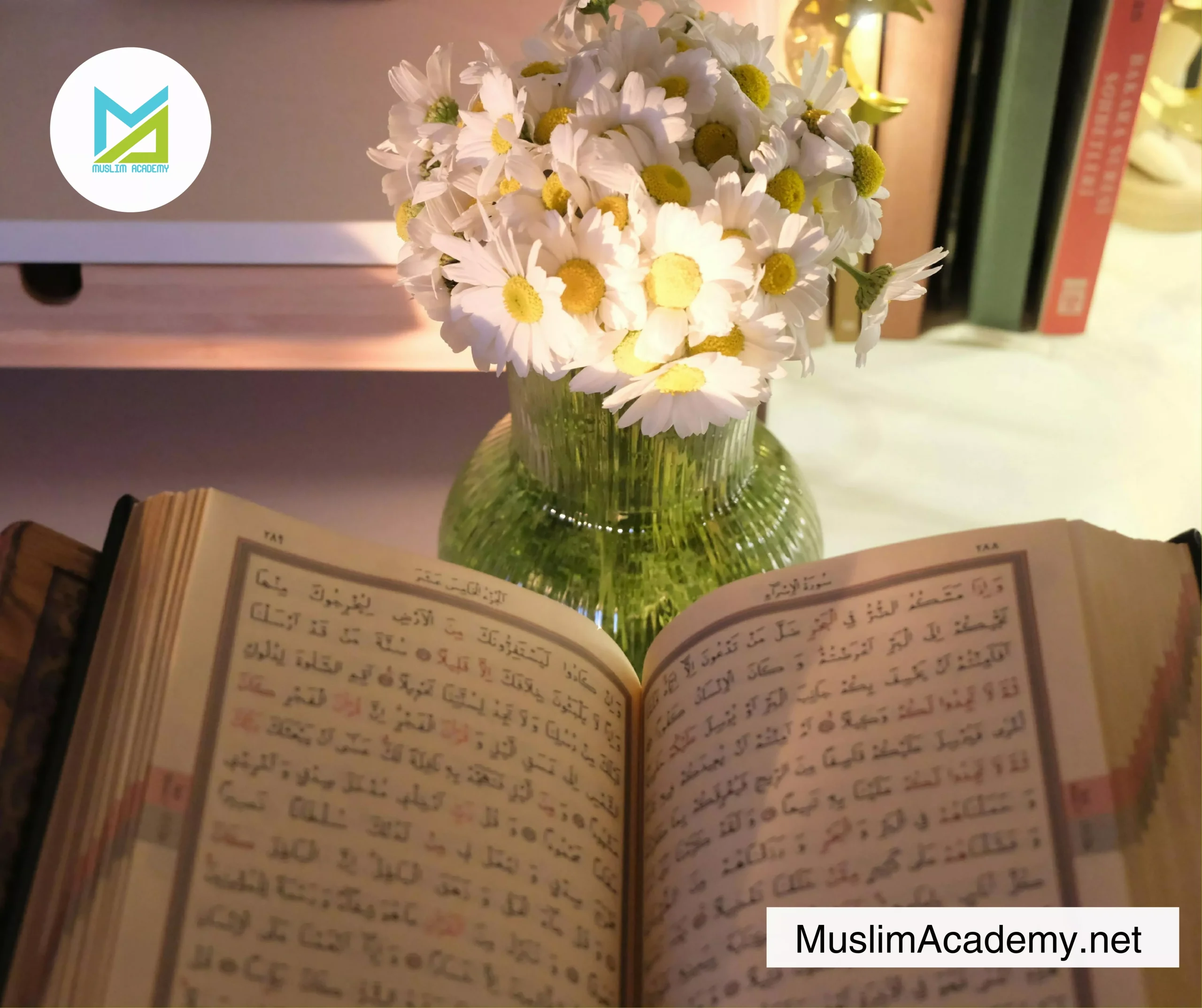 Quran Schools 3, Muslim Academy