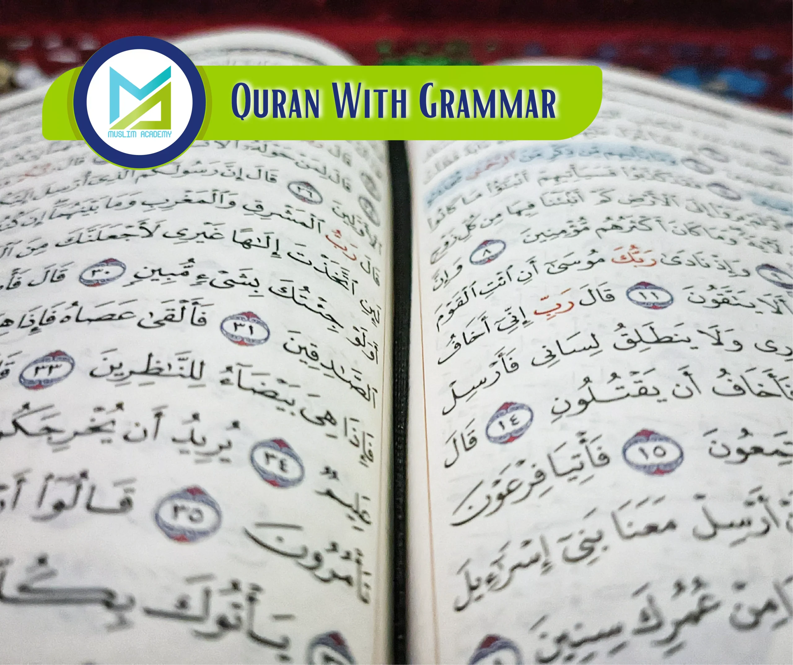 Quran With Grammar, Muslim Academy