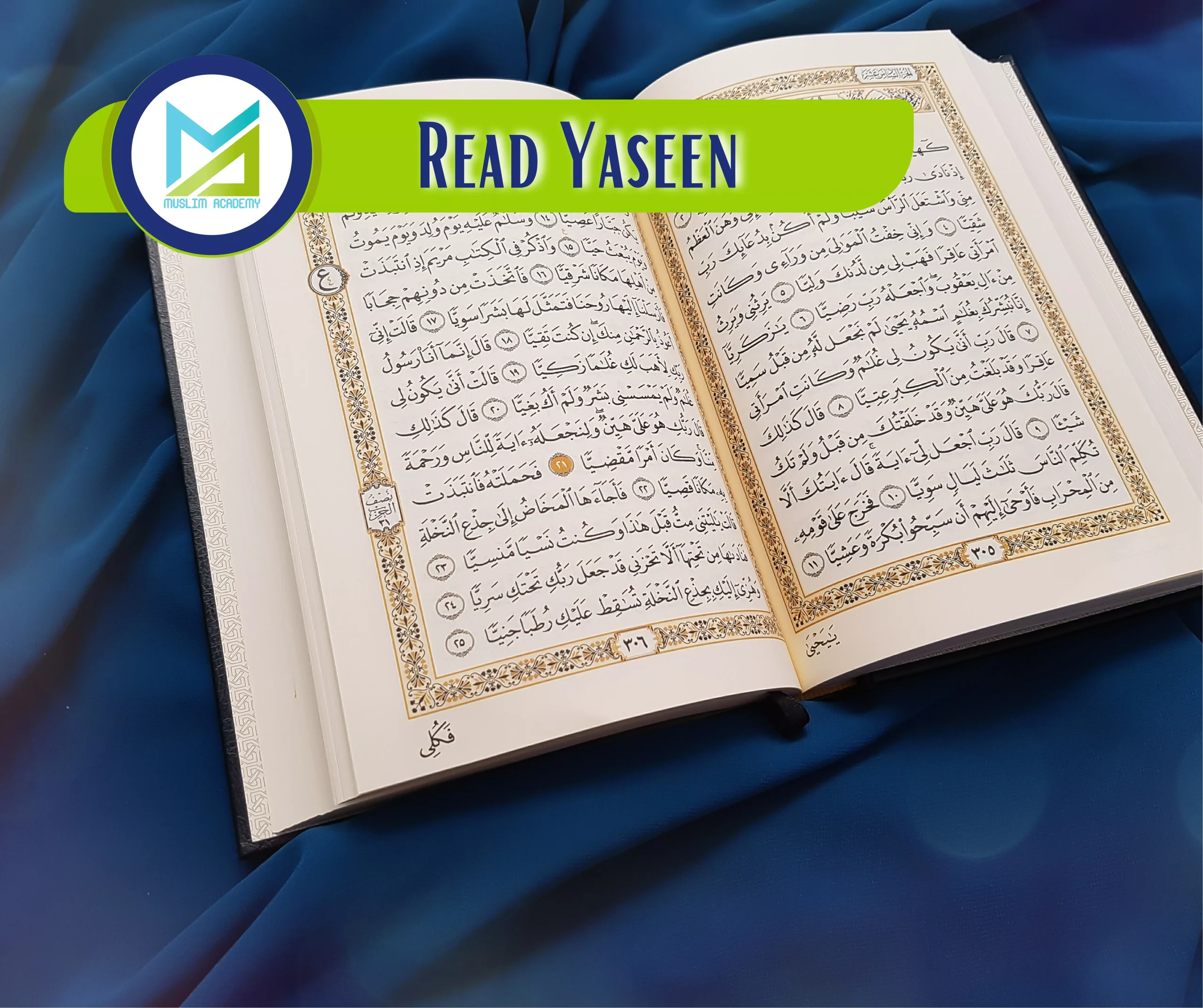 Read Yaseen, Muslim Academy