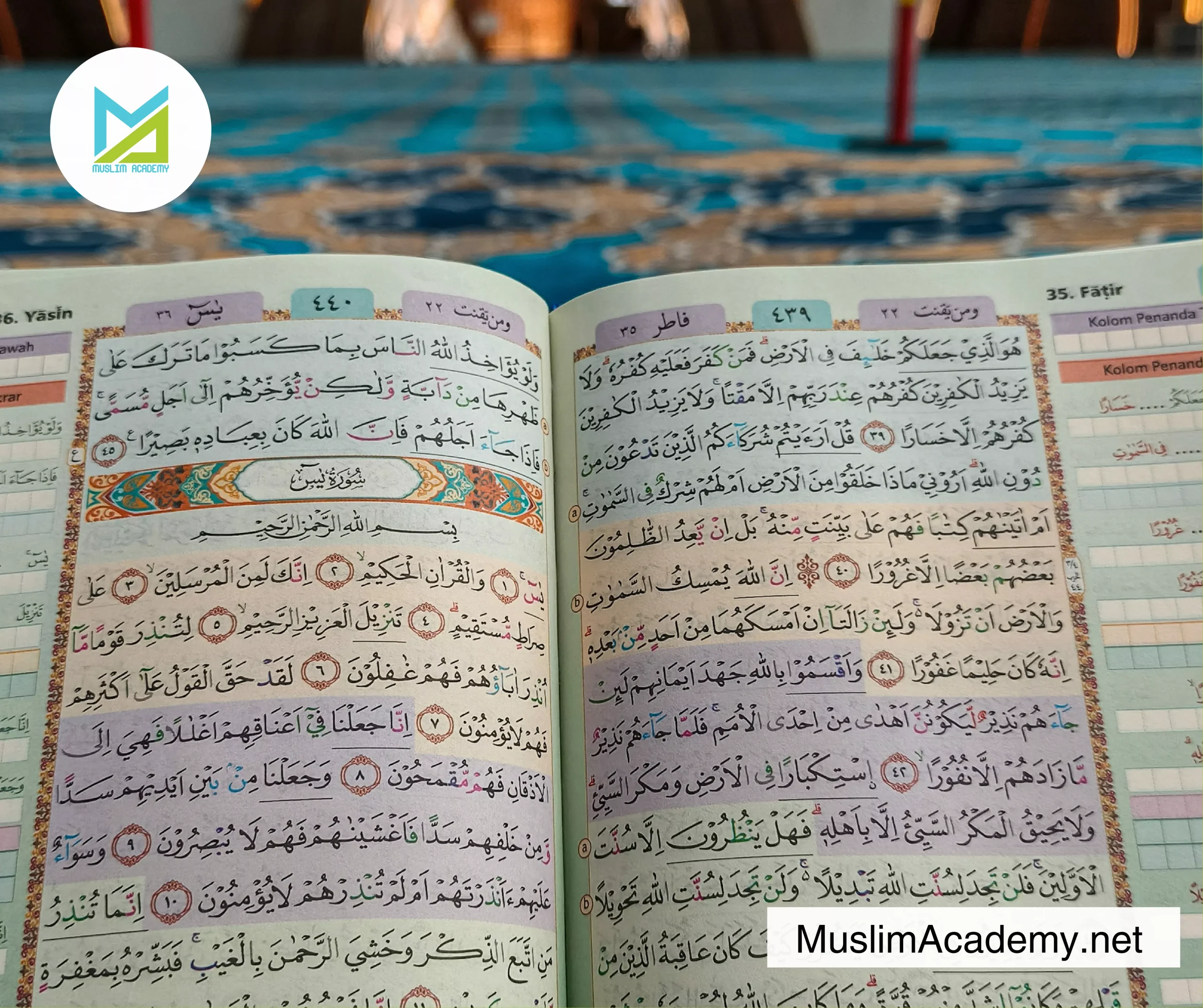 Rules Of Madd 3, Muslim Academy