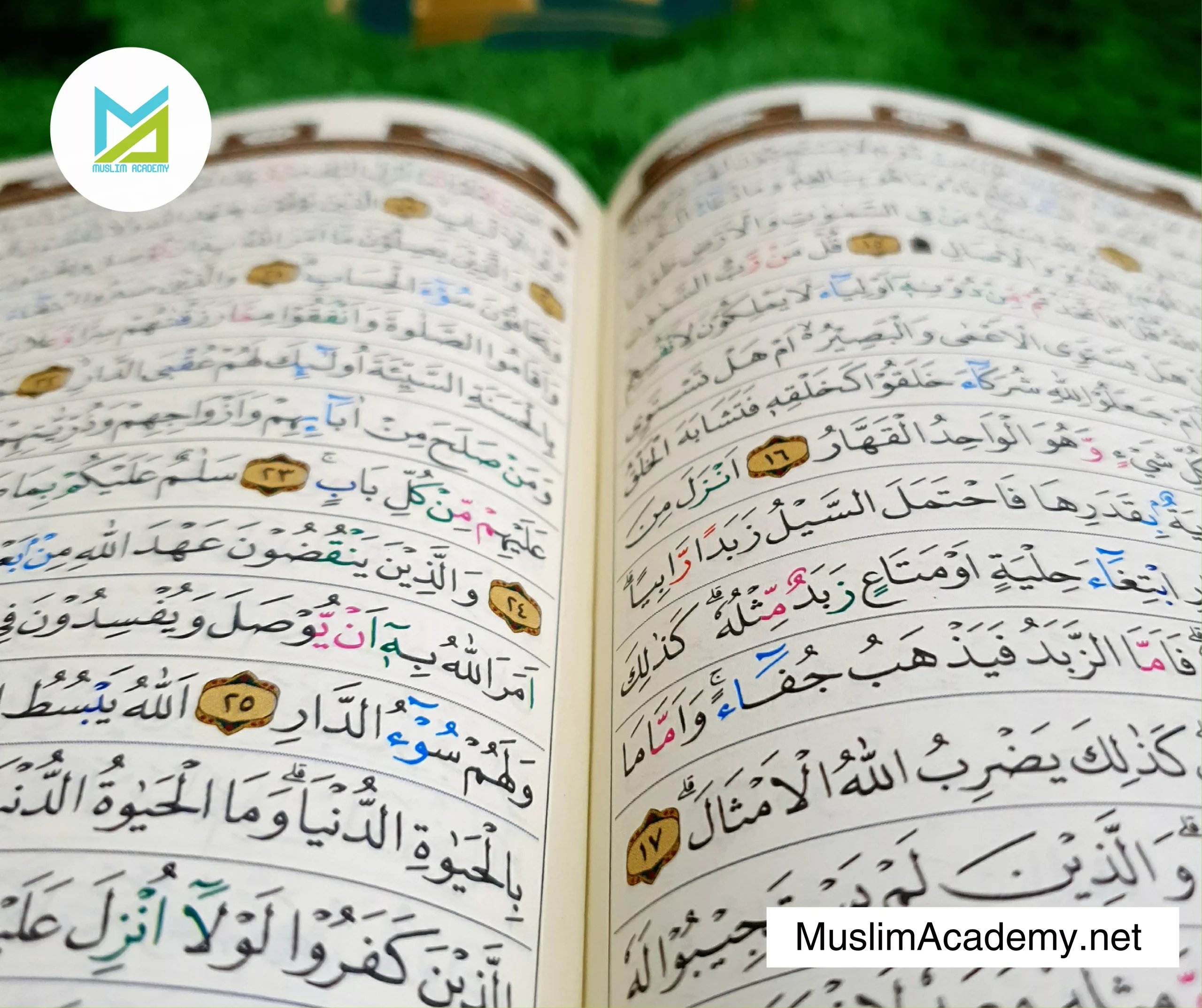 Surah E Yasin 2, Muslim Academy