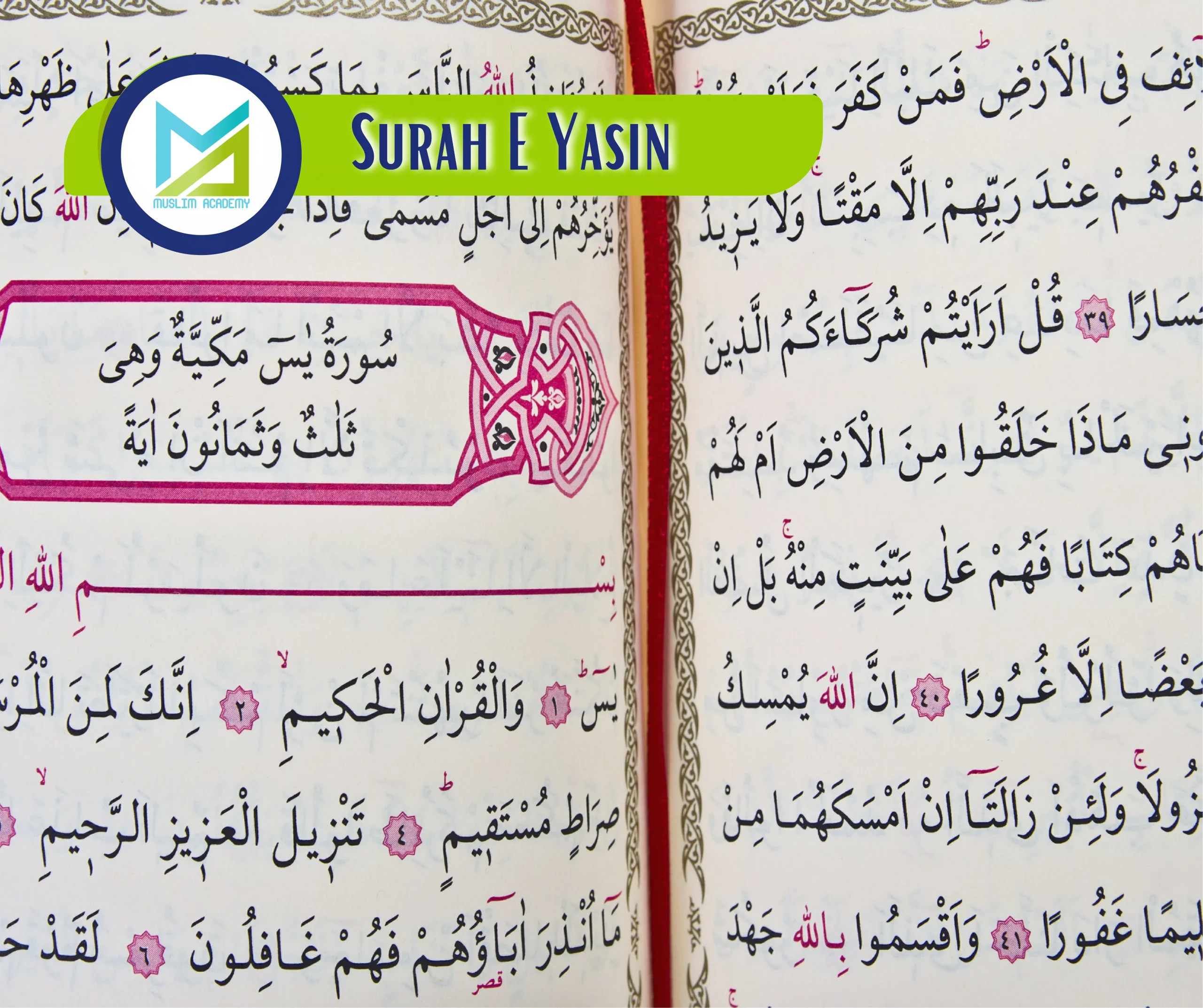 Surah E Yasin, Muslim Academy