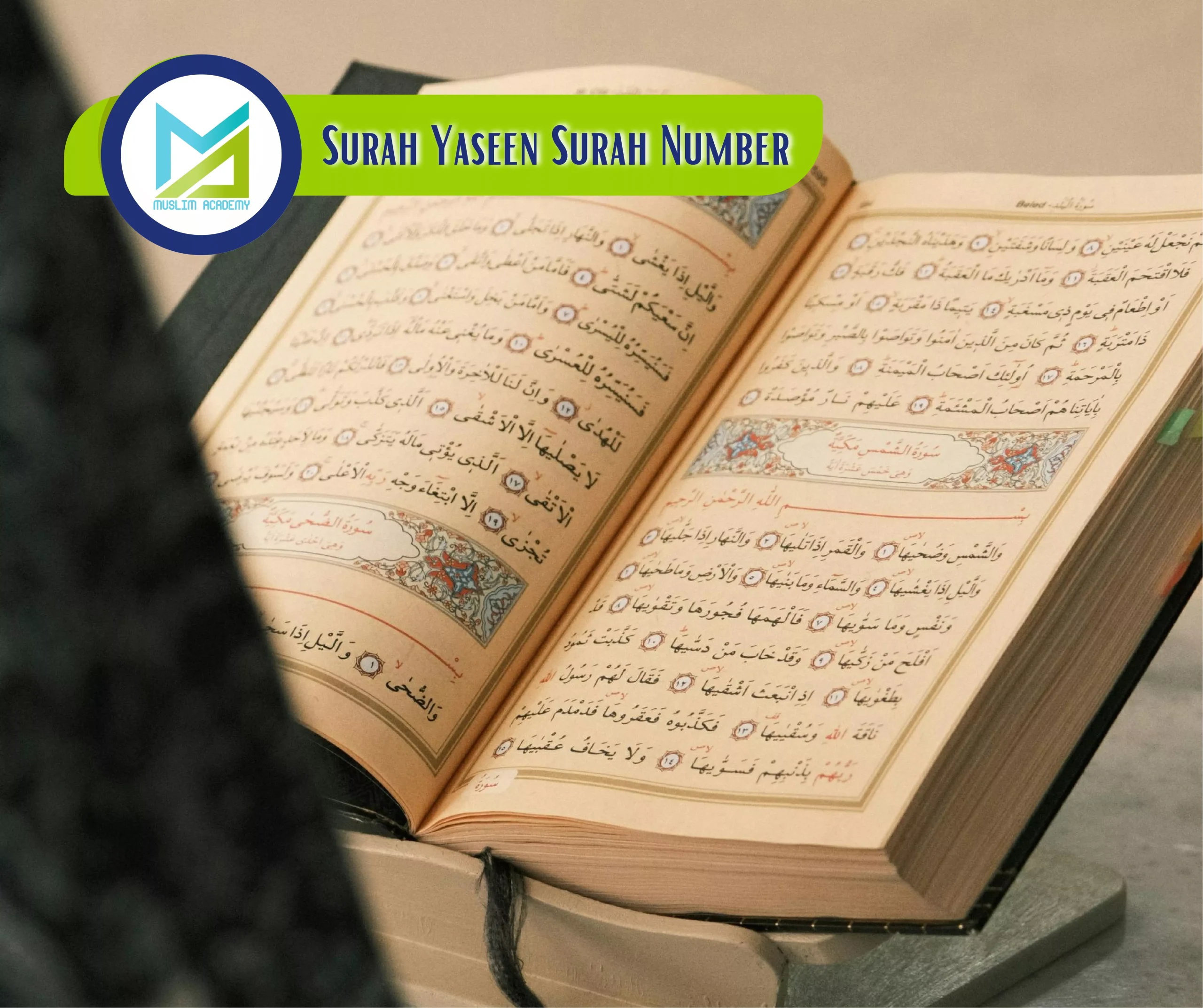 Surah Yaseen Surah Number, Muslim Academy
