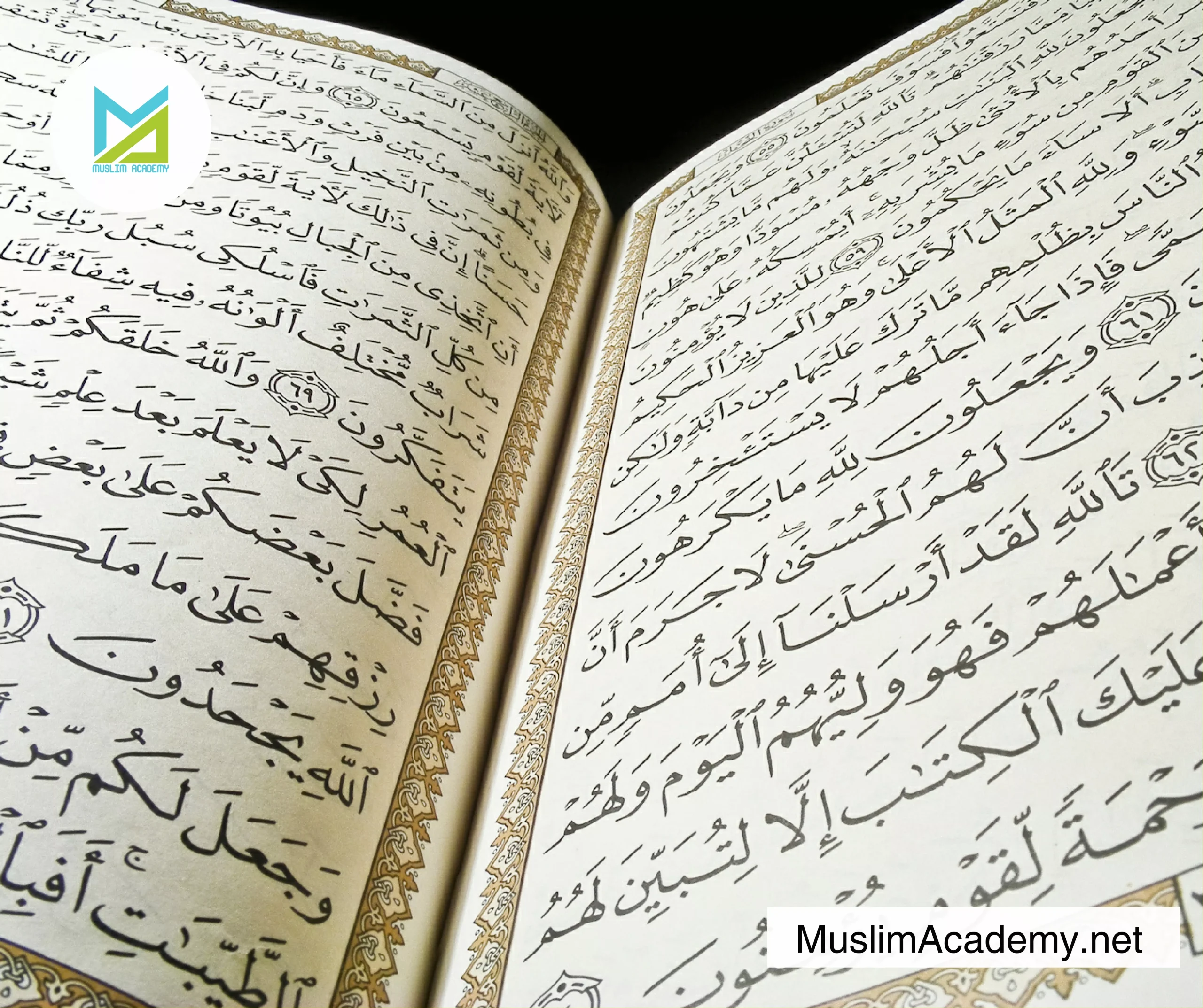 Surah Yaseen Tajweed 2, Muslim Academy