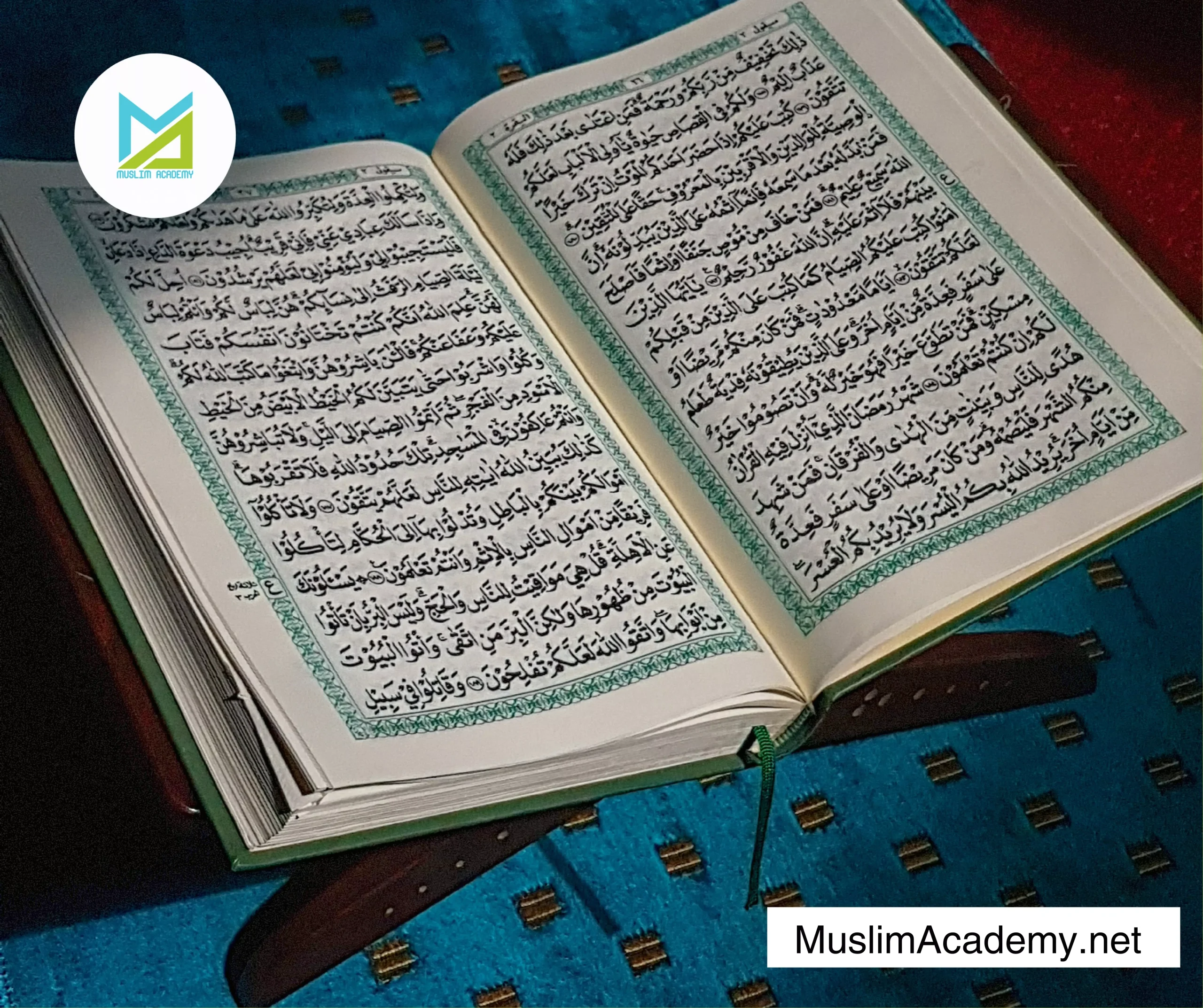 Surah Yasin Online Read 2, Muslim Academy