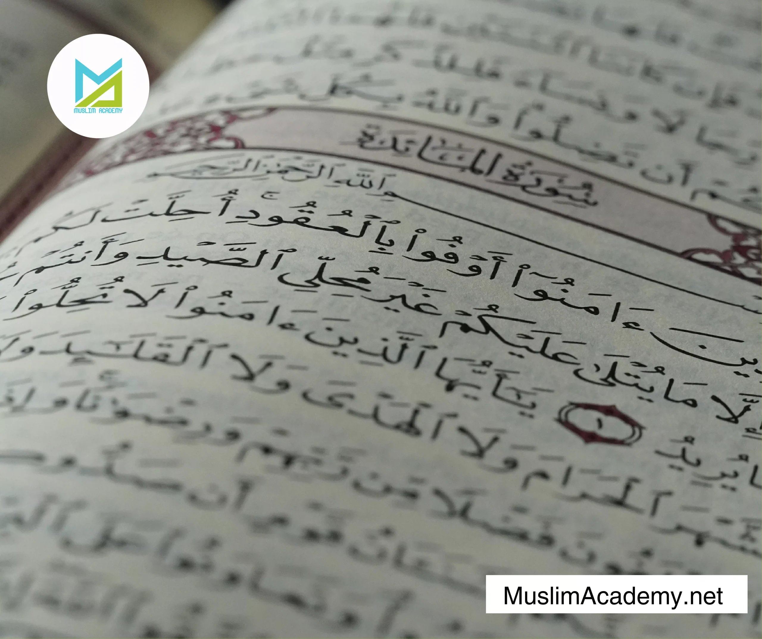 Surah Yasin Online Read 3, Muslim Academy
