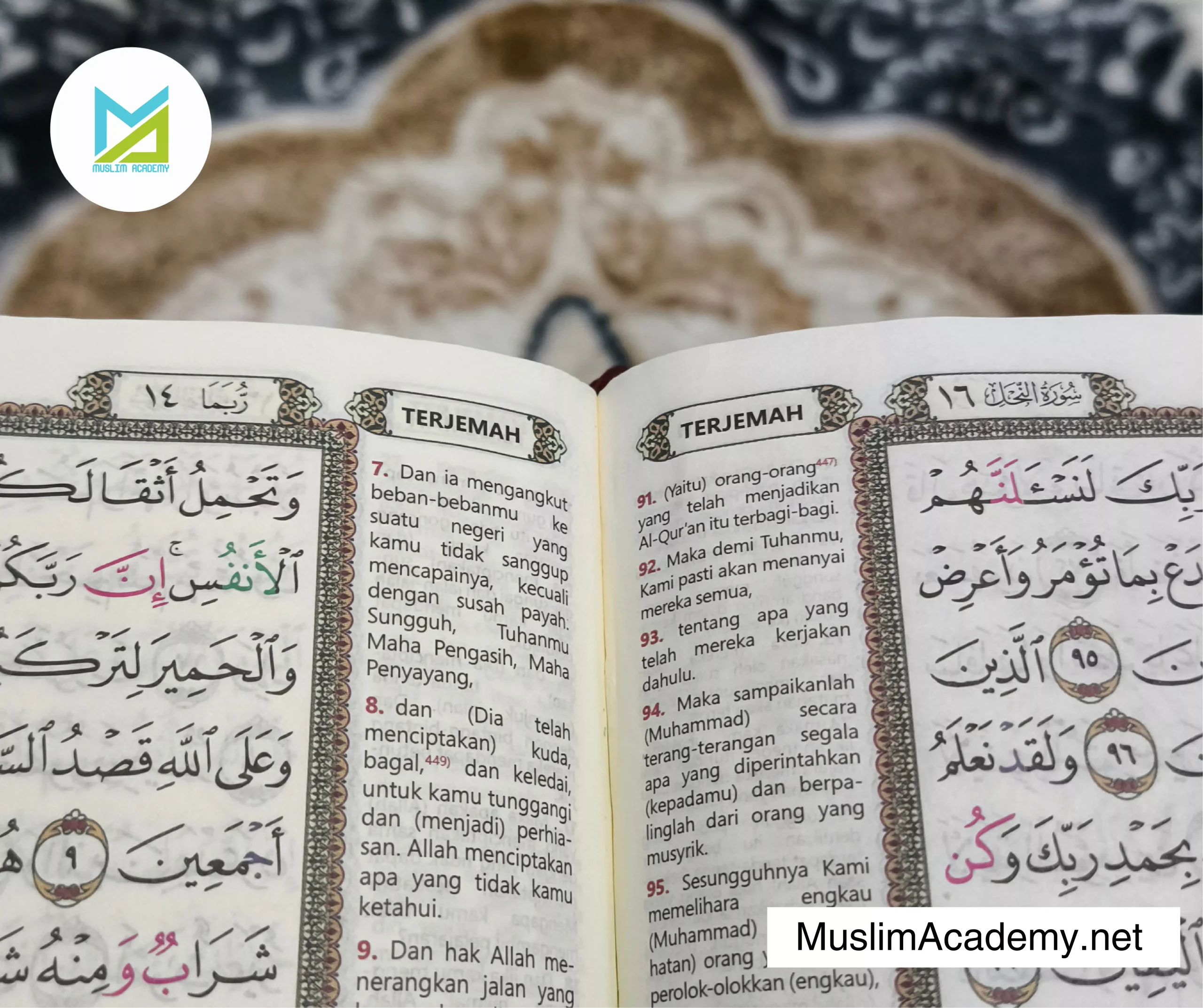 The Quran Means 3, Muslim Academy