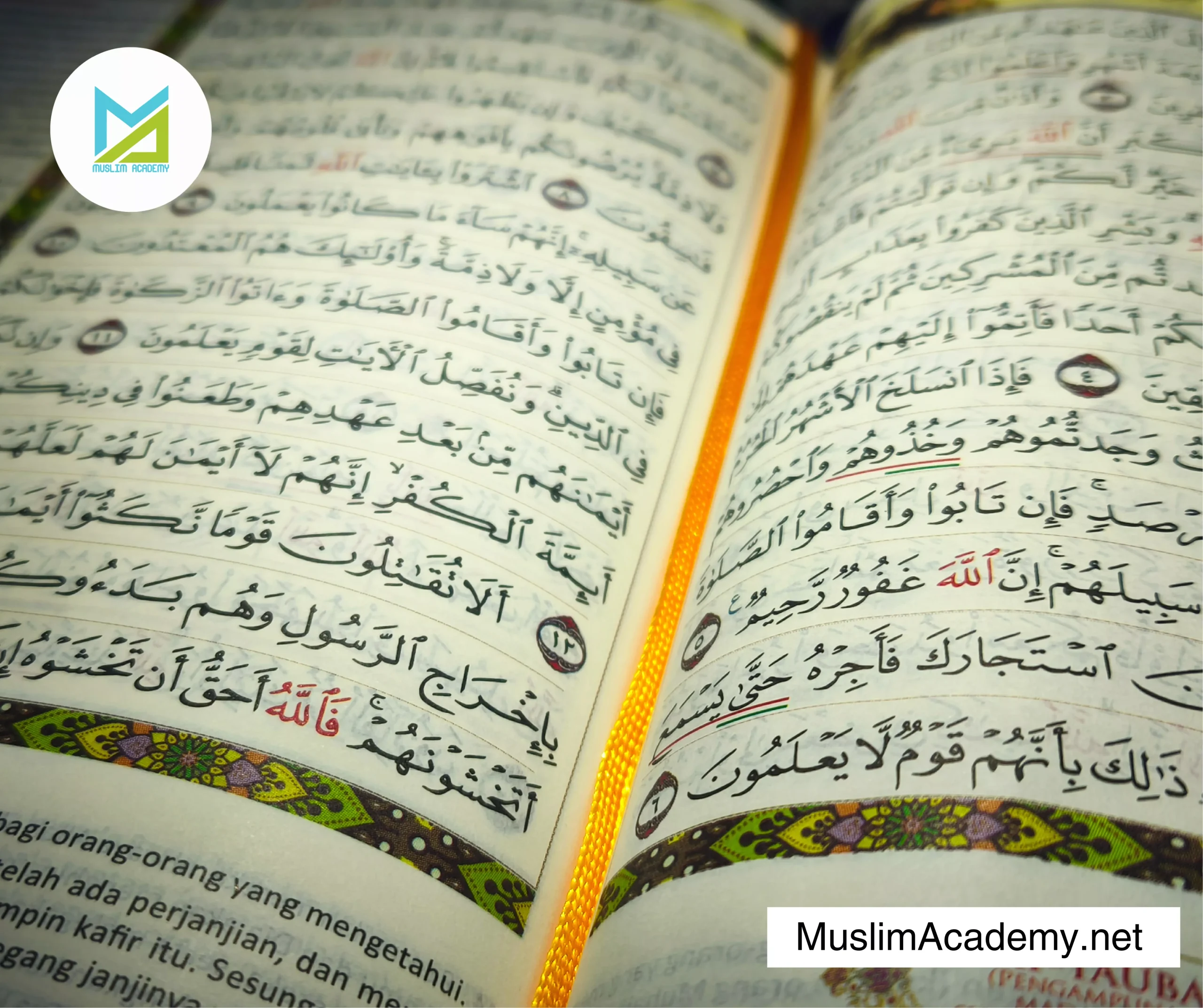 Yaseen In Quran 3, Muslim Academy