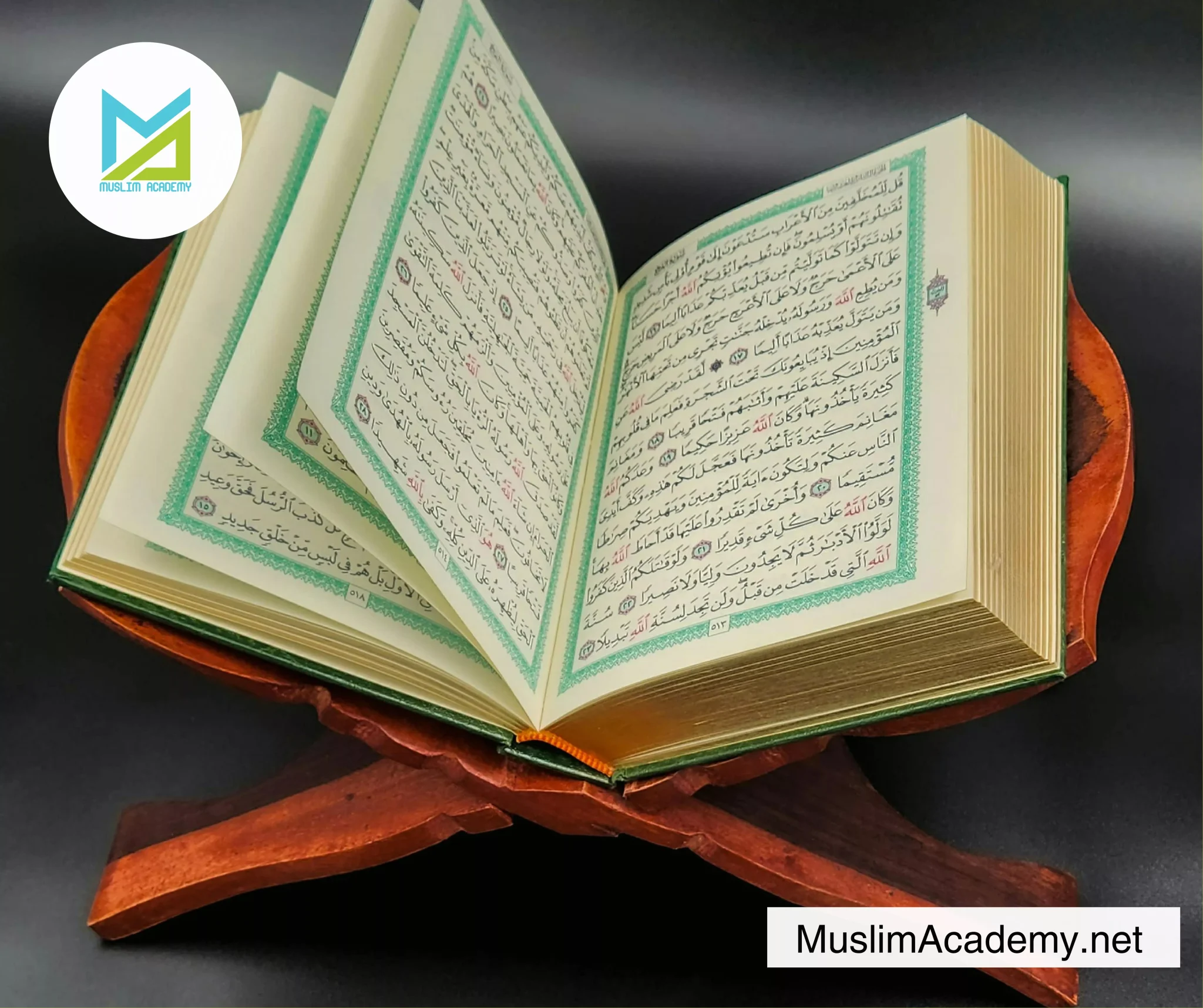 Memorise Quran Online with Muslim Academy: The Complete Guide to Digital Hifz Programs