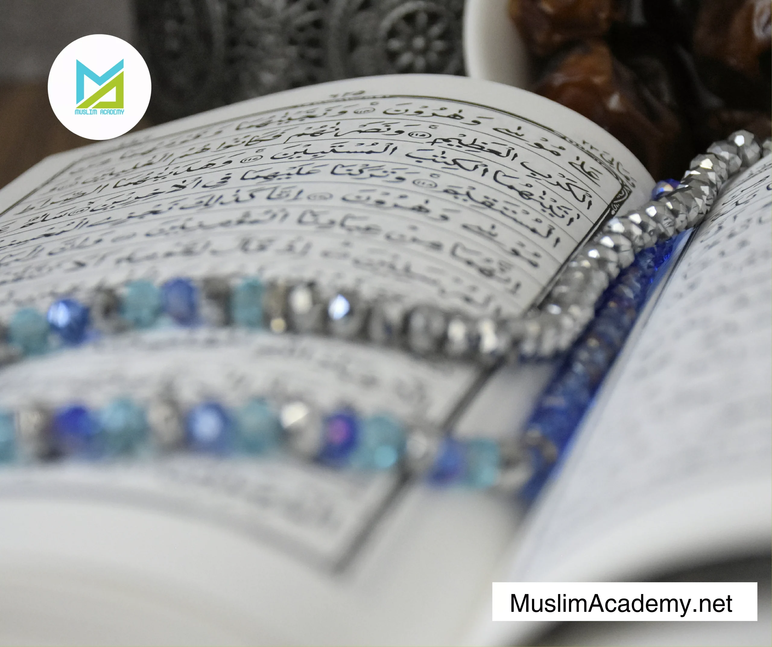 My Quran 2, Muslim Academy