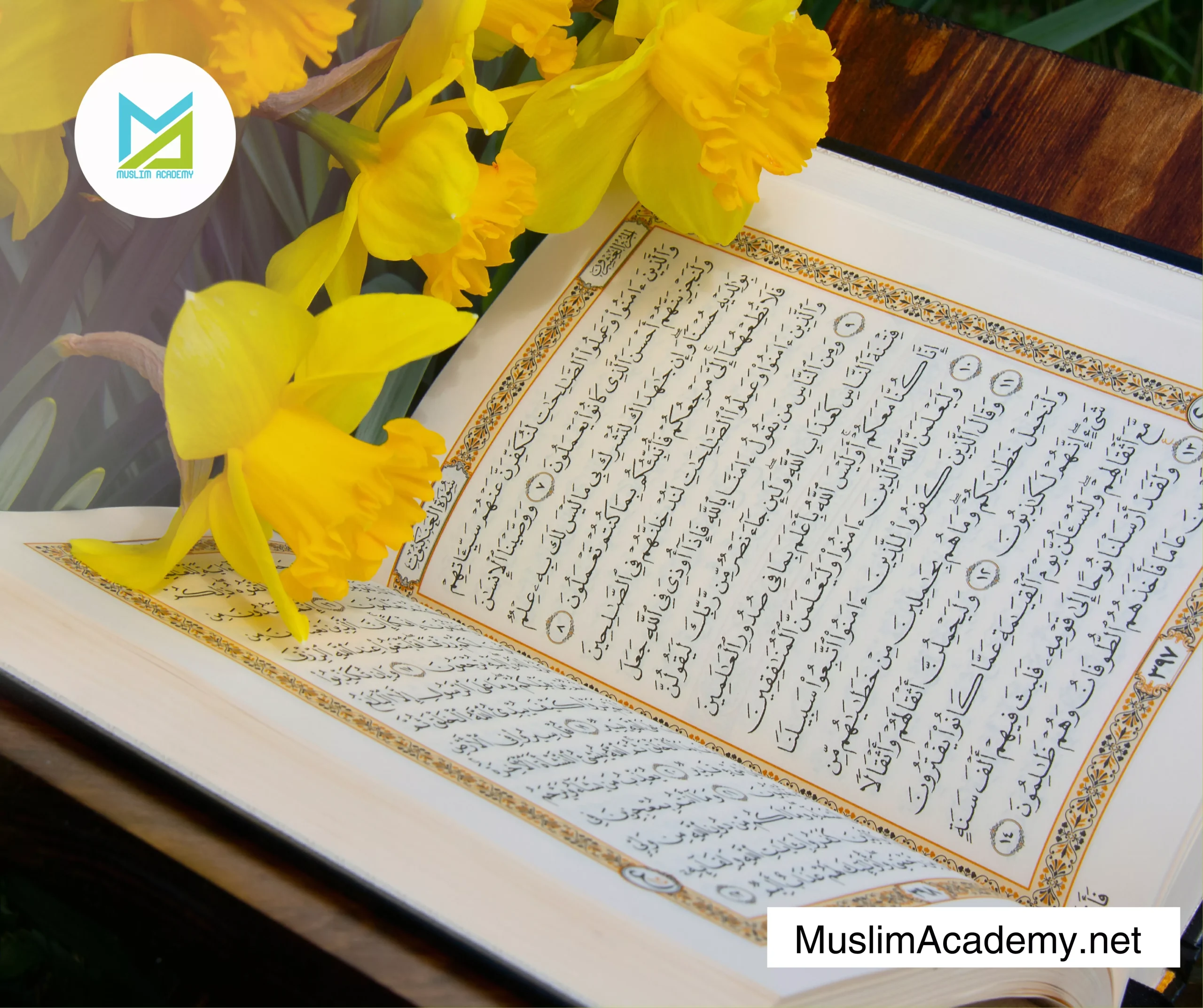 Online Hifz Classes 3, Muslim Academy