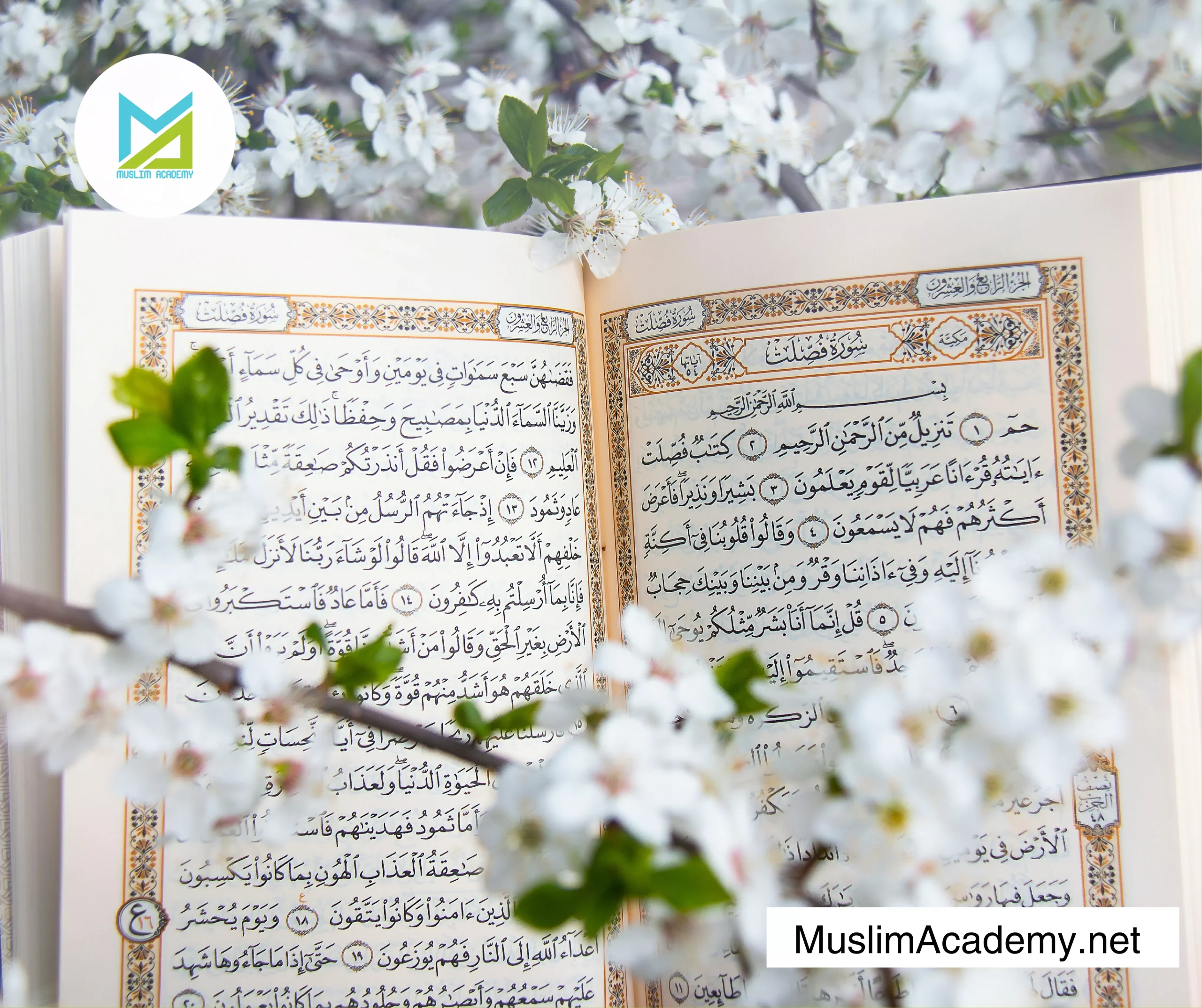 Online Tajweed 2, Muslim Academy