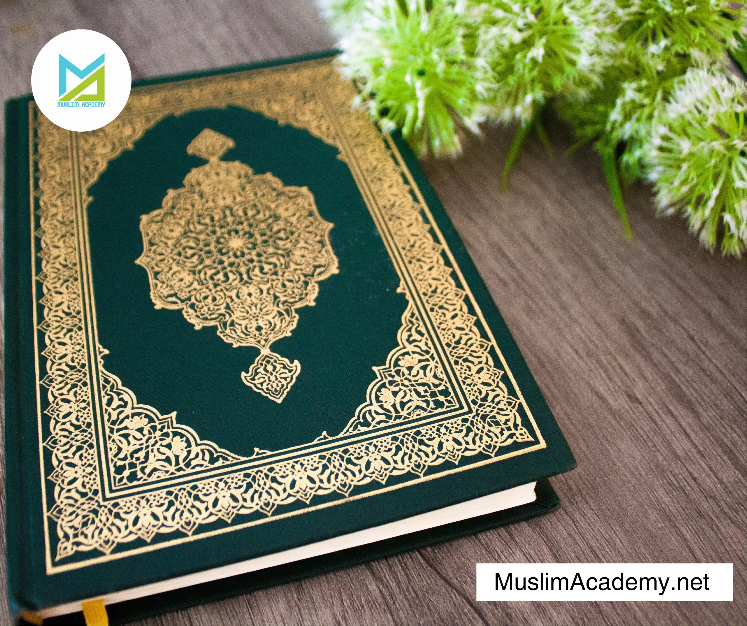 Quran Academy 3, Muslim Academy