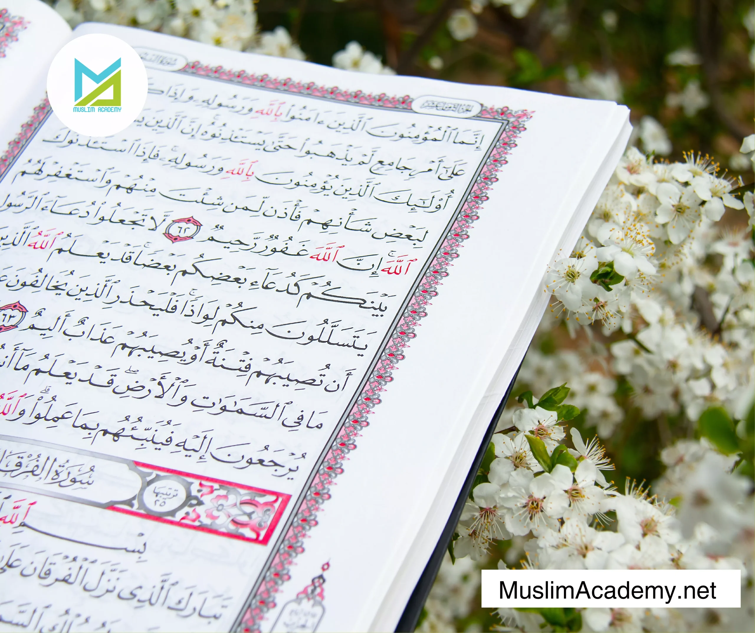 Quran Online Reading 2, Muslim Academy