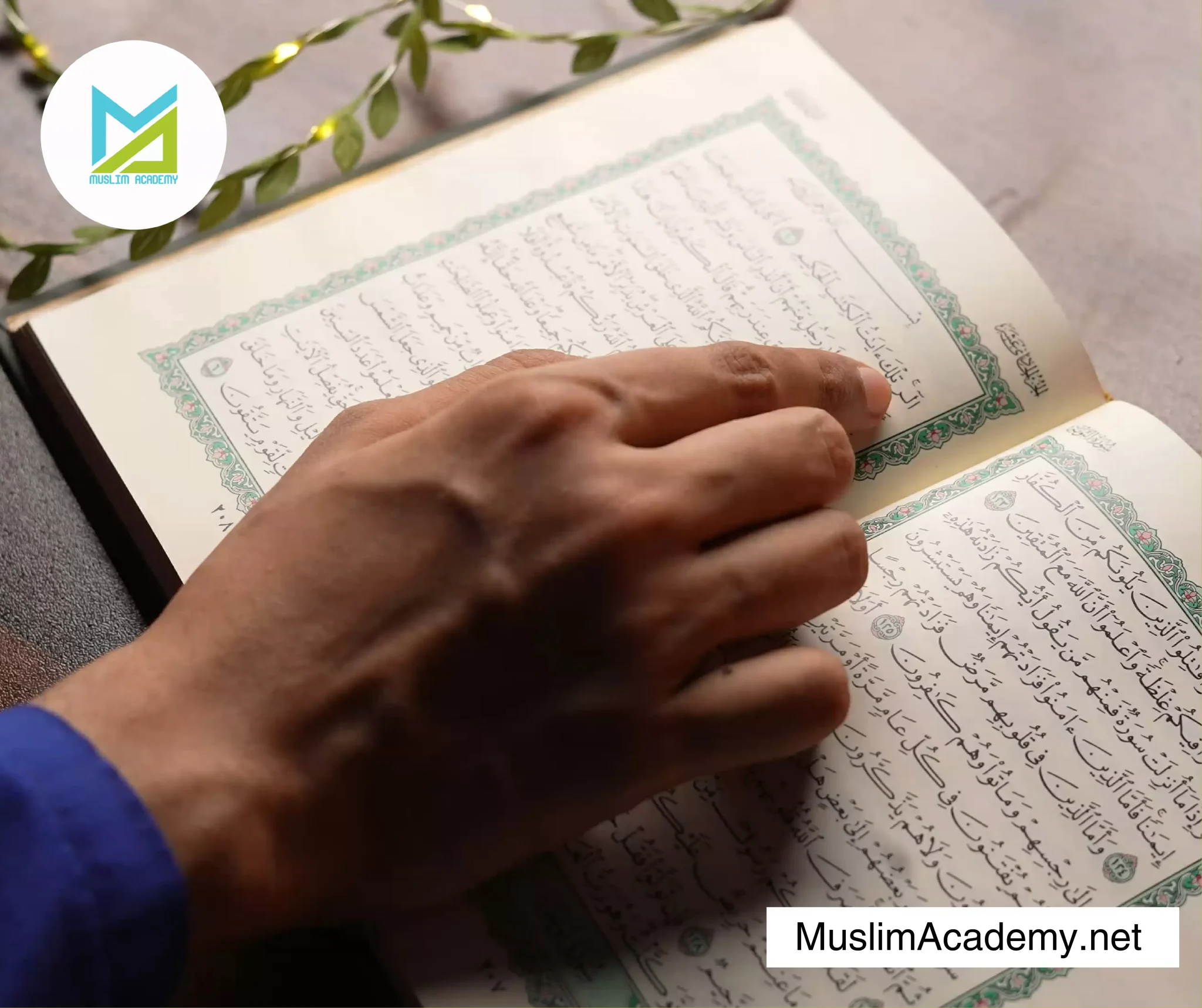 Learning Arabic For Beginners with Muslim Academy: Your Complete Roadmap to Success
