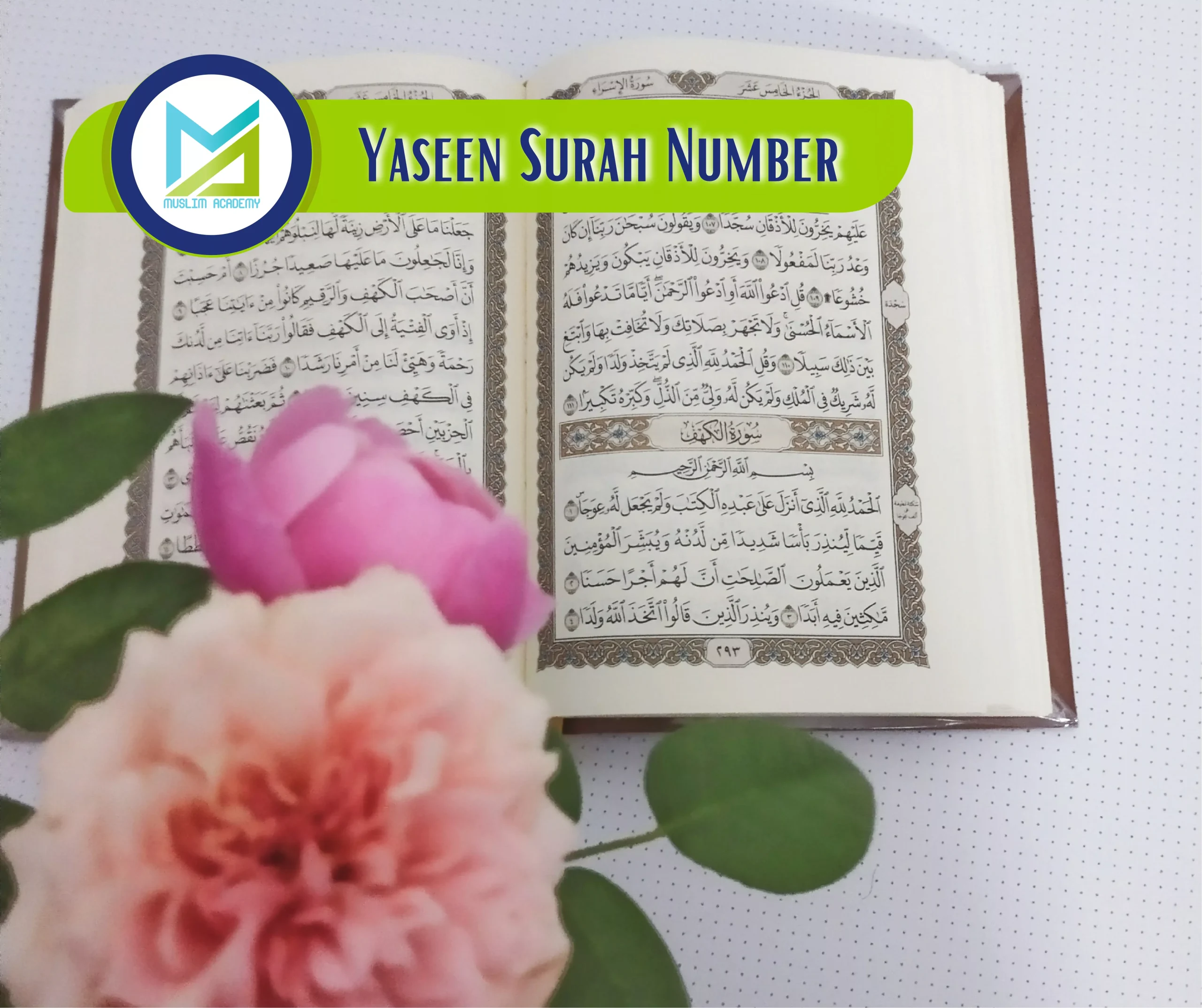 Yaseen Surah Number, Muslim Academy